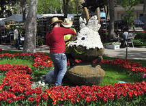 Preparations underway for Flower Holiday in Baku, Azerbaijan, May 09, 2011