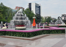 Flower festival in Baku, Azerbaijan, May 10, 2011