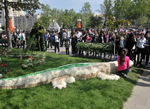 Flower festival in Baku, Azerbaijan, May 10, 2011