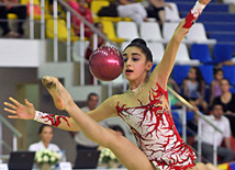 Bədii gimnastika üzrə XVIII Azərbaycan çempionatı, Qusar Olimpiya Kompleksi, Azərbaycan, 18 iyun 2011