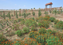 Azerbaijan's cultural values. Gala Archeological-Ethnographic Museum Complex. Azerbaijan, Sep.16, 2011 