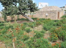 Azerbaijan's cultural values. Gala Archeological-Ethnographic Museum Complex. Azerbaijan, Sep.16, 2011 