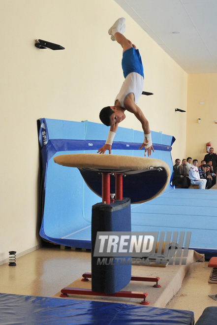 18th Azerbaijan Gymnastics Championship opened. Baku, Azerbaijan, Nov.03, 2011
