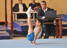 18th Azerbaijan Gymnastics Championship opened. Baku, Azerbaijan, Nov.03, 2011
