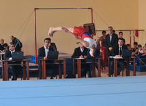 18th Azerbaijan Gymnastics Championship opened. Baku, Azerbaijan, Nov.03, 2011
