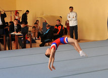 18th Azerbaijan Gymnastics Championship opened. Baku, Azerbaijan, Nov.03, 2011
