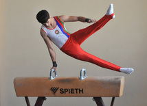 18th Azerbaijan Gymnastics Championship opened. Baku, Azerbaijan, Nov.03, 2011
