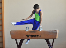 18th Azerbaijan Gymnastics Championship opened. Baku, Azerbaijan, Nov.03, 2011
