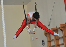 18th Azerbaijan Gymnastics Championship opened. Baku, Azerbaijan, Nov.03, 2011
