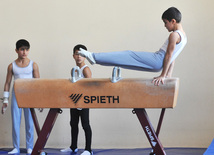 18th Azerbaijan Gymnastics Championship opened. Baku, Azerbaijan, Nov.03, 2011
