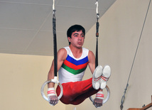 18th Azerbaijan Gymnastics Championship opened. Baku, Azerbaijan, Nov.03, 2011
