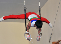 18th Azerbaijan Gymnastics Championship opened. Baku, Azerbaijan, Nov.03, 2011
