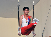 18th Azerbaijan Gymnastics Championship opened. Baku, Azerbaijan, Nov.03, 2011
