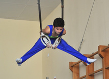 18th Azerbaijan Gymnastics Championship opened. Baku, Azerbaijan, Nov.03, 2011
