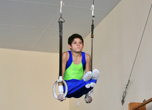 18th Azerbaijan Gymnastics Championship opened. Baku, Azerbaijan, Nov.03, 2011
