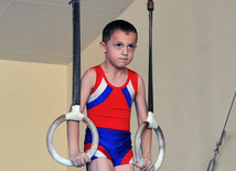 18th Azerbaijan Gymnastics Championship opened. Baku, Azerbaijan, Nov.03, 2011
