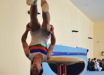 18th Azerbaijan Gymnastics Championship opened. Baku, Azerbaijan, Nov.03, 2011
