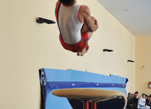 18th Azerbaijan Gymnastics Championship opened. Baku, Azerbaijan, Nov.03, 2011
