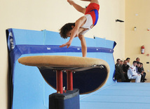 18th Azerbaijan Gymnastics Championship opened. Baku, Azerbaijan, Nov.03, 2011
