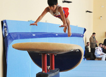 18th Azerbaijan Gymnastics Championship opened. Baku, Azerbaijan, Nov.03, 2011
