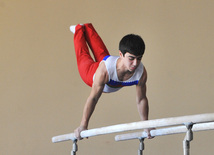 18th Azerbaijan Gymnastics Championship opened. Baku, Azerbaijan, Nov.03, 2011
