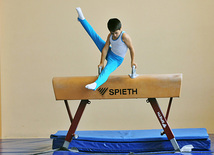 18th Azerbaijan Gymnastics Championship finished. Baku, Azerbaijan, Nov.04, 2011
