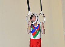 18th Azerbaijan Gymnastics Championship finished. Baku, Azerbaijan, Nov.04, 2011
