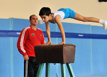 18th Azerbaijan Gymnastics Championship finished. Baku, Azerbaijan, Nov.04, 2011
