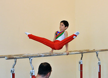 18th Azerbaijan Gymnastics Championship finished. Baku, Azerbaijan, Nov.04, 2011
