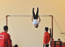 18th Azerbaijan Gymnastics Championship finished. Baku, Azerbaijan, Nov.04, 2011
