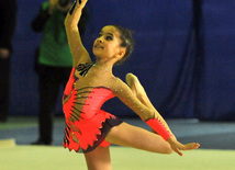 The 18th Azerbaijan Championship and Baku Championship on Rhythmic Gymnastics kicked off. Baku, Azerbaijan, Nov.18, 2011