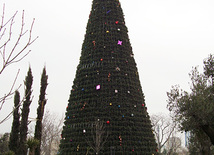 On the New Year Eve. Baku, Azerbaijan, Dec.26, 2011 