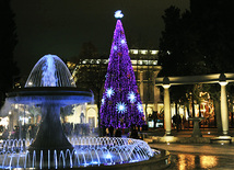 On the New Year Eve. Baku, Azerbaijan, Dec.26, 2011 