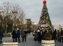 Yeni 2012-ci ilin ilk günləri Bakıda. Azərbaycan, 02 yanvar 2012