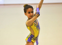 The 19th Open Baku Rhythmic Gymnastics Championship. Baku, Azerbaijan, Feb.03, 2012