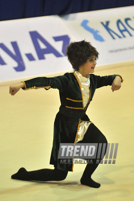 The 19th Open Baku Rhythmic Gymnastics Championship. The Second day. Baku, Azerbaijan, Feb.04, 2012