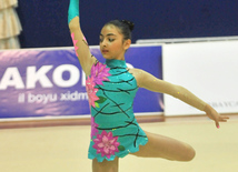 The 19th Open Baku Rhythmic Gymnastics Championship. The Second day. Baku, Azerbaijan, Feb.04, 2012