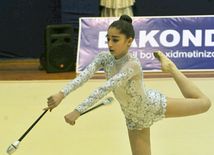 The 19th Open Baku Rhythmic Gymnastics Championship. The Second day. Baku, Azerbaijan, Feb.04, 2012