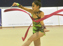 The 19th Open Baku Rhythmic Gymnastics Championship. The Second day. Baku, Azerbaijan, Feb.04, 2012