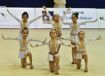 The 19th Open Baku Rhythmic Gymnastics Championship. The Second day. Baku, Azerbaijan, Feb.04, 2012