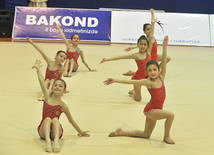 The 19th Open Baku Rhythmic Gymnastics Championship. The Second day. Baku, Azerbaijan, Feb.04, 2012