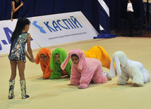 The 19th Open Baku Rhythmic Gymnastics Championship. The Second day. Baku, Azerbaijan, Feb.04, 2012