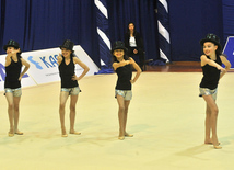 The 19th Open Baku Rhythmic Gymnastics Championship. The Second day. Baku, Azerbaijan, Feb.04, 2012