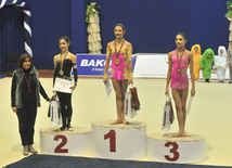 The 19th Open Baku Rhythmic Gymnastics Championship. The Second day. Baku, Azerbaijan, Feb.04, 2012