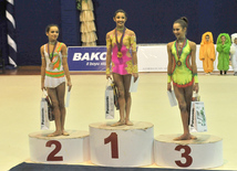 The 19th Open Baku Rhythmic Gymnastics Championship. The Second day. Baku, Azerbaijan, Feb.04, 2012