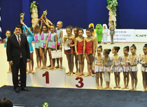 The 19th Open Baku Rhythmic Gymnastics Championship. The Second day. Baku, Azerbaijan, Feb.04, 2012