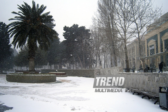 Bakıda yenə çovğundur. Azərbaycan, 08 fevral 2012