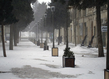 Bakıda yenə çovğundur. Azərbaycan, 08 fevral 2012