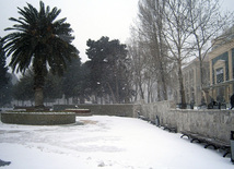 Bakıda yenə çovğundur. Azərbaycan, 08 fevral 2012