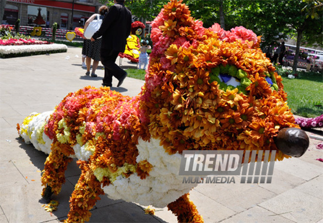 Flower festival in Baku, Azerbaijan, May 10, 2012